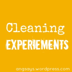 cleaning-experiements