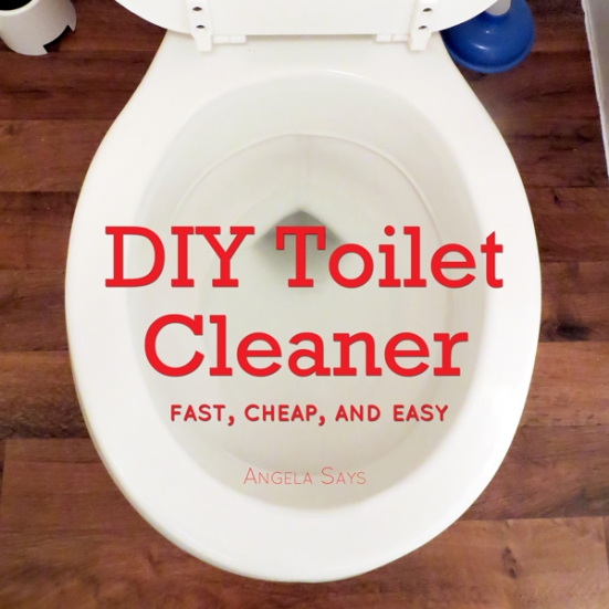 diy-toilet-cleaner